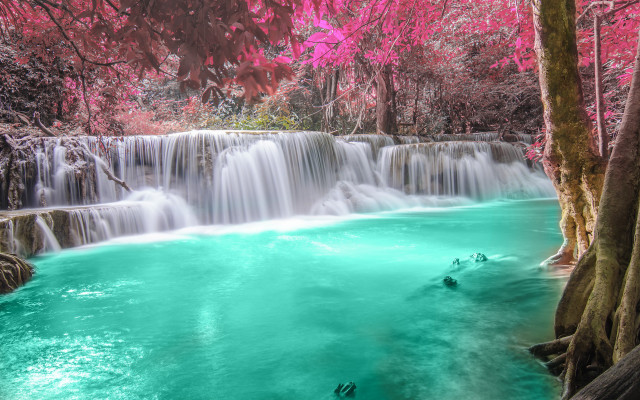 Waterfall pool trees pink flowers free wallpaper for desktop - medium preview image