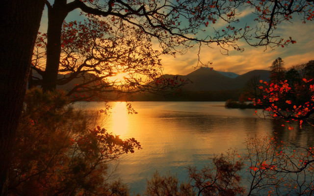 Autumn lake mountains tree sunset free wallpaper for desktop - medium preview image
