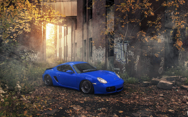 Blue sports car leafy graffiti free wallpaper for desktop - medium preview image
