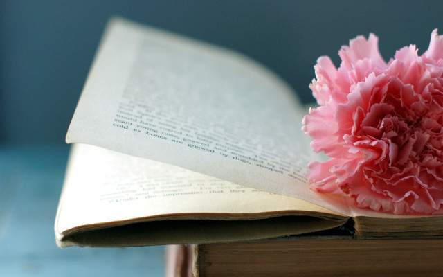 Pink flower open book table free wallpaper for desktop - medium preview image
