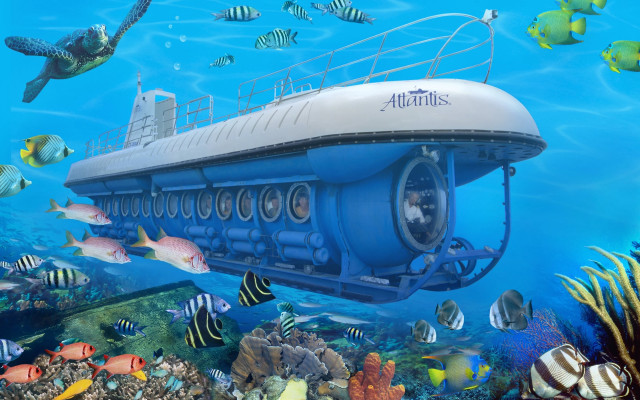 Submarine fish corals diver underwater free wallpaper for desktop - medium preview image