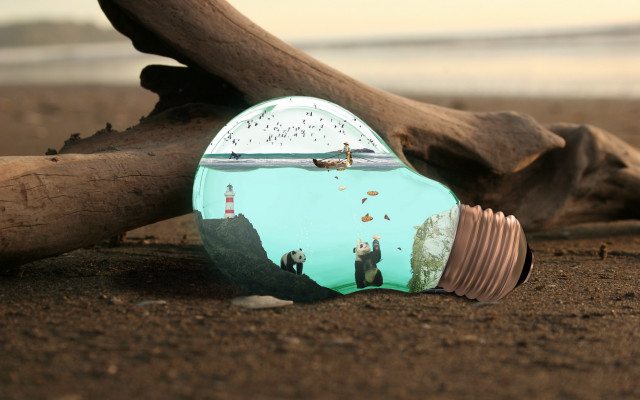 Light bulb beach tree water free wallpaper for desktop - medium preview image