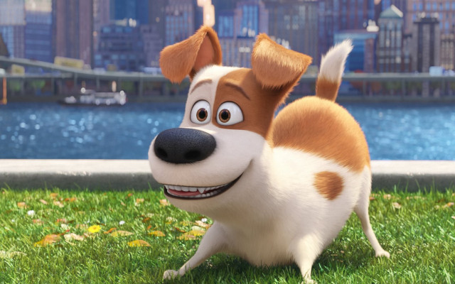 Cartoon dog smile grass river free wallpaper for desktop - medium preview image