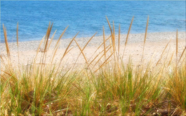 Beach grass water sky bridge free wallpaper for desktop - medium preview image