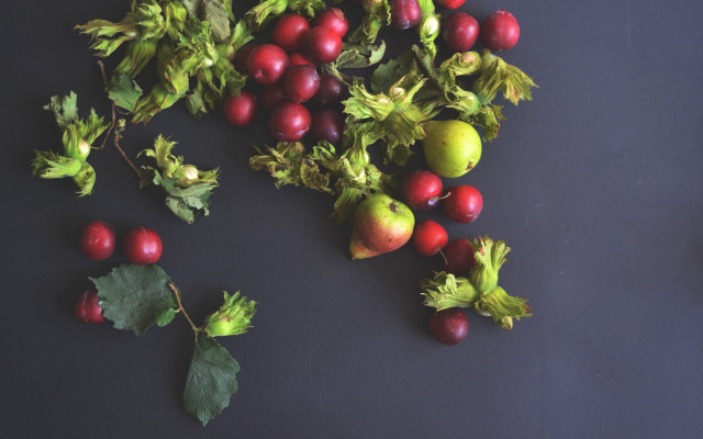 Fruit stilllife christmas berries oranges free wallpaper for desktop - medium preview image