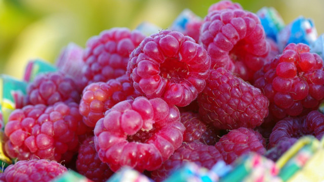 Raspberries basket photorealism macro bokeh free wallpaper for desktop - medium preview image