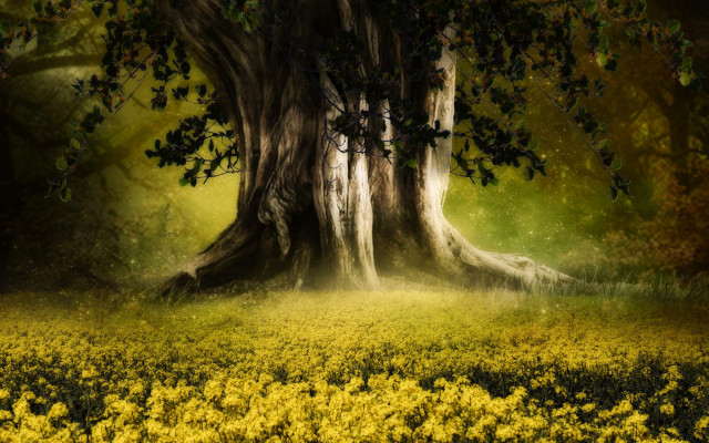 Tree field sunbeam autumn leaves free wallpaper for desktop - medium preview image