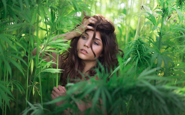 Woman hiding plant woods blurry free wallpaper for desktop - medium preview image