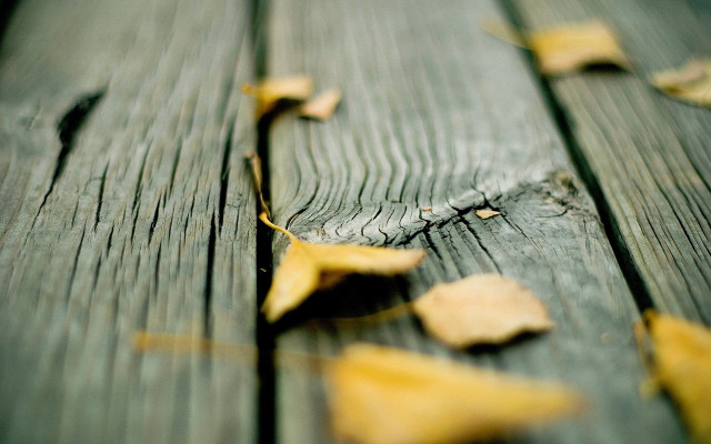 Wooden leaves macro photorealism blurry free wallpaper for desktop - medium preview image