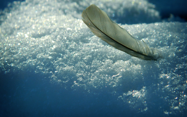 Feather water bubbles blue sky free wallpaper for desktop - medium preview image