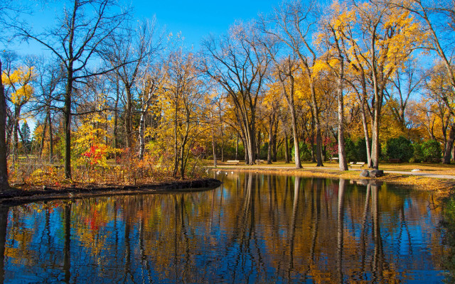 Pond trees yellow leaves park free wallpaper for desktop - medium preview image