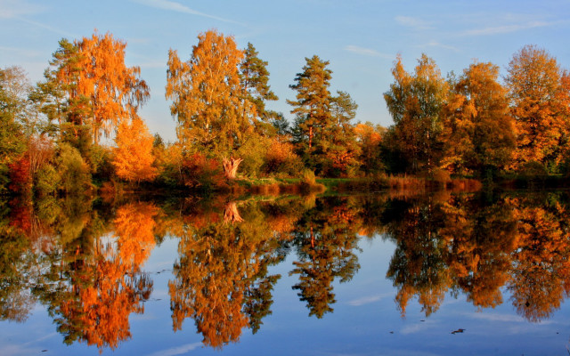 Lake trees orange leaves blue free wallpaper for desktop - medium preview image