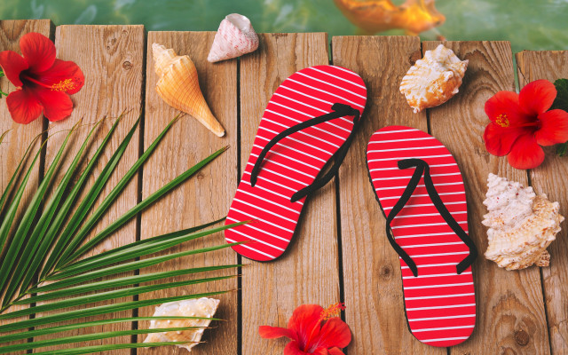 Flipflops woodendeck flowers fishpond summer free wallpaper for desktop - medium preview image