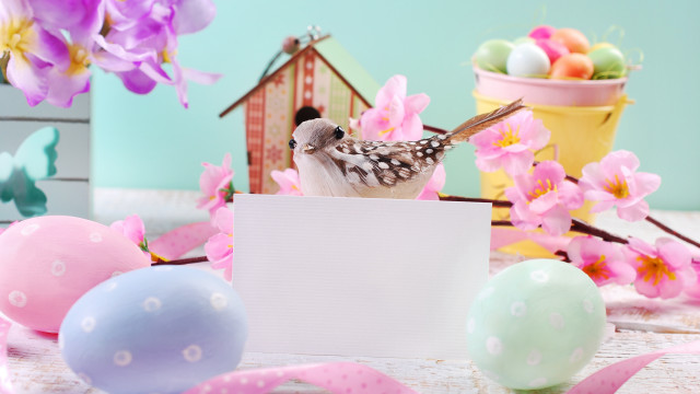 Bird card eggs flowers sign free wallpaper for desktop - medium preview image