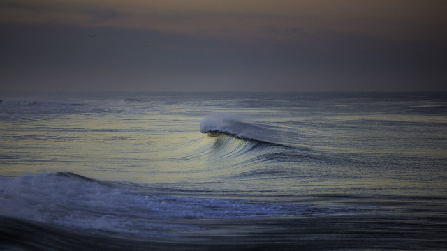 Ocean wave sunset bird precisionism free wallpaper for desktop - medium preview image