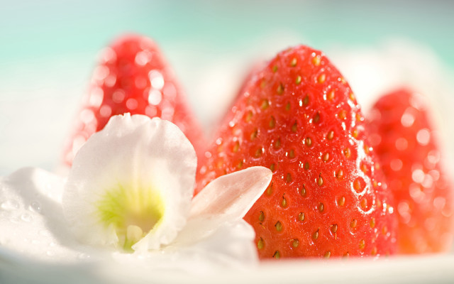 Strawberries flower plate water droplets free wallpaper for desktop - medium preview image