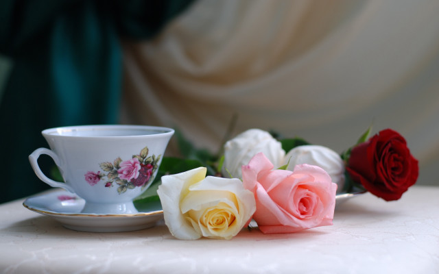 Cup saucer roses blurry stilllife free wallpaper for desktop - medium preview image