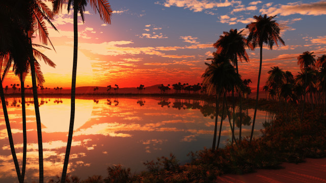 Sunset palm trees water reflection free wallpaper for desktop - medium preview image