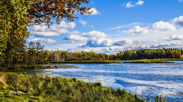 River trees clouds blue sky #2 free wallpaper for desktop - medium preview image