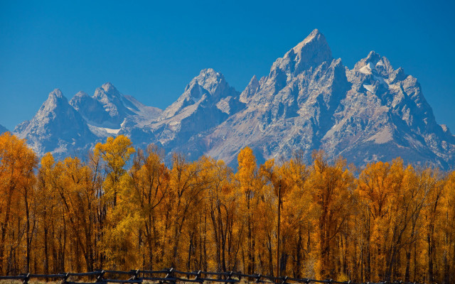 Mountain fence trees autumn leaves free wallpaper for desktop - medium preview image