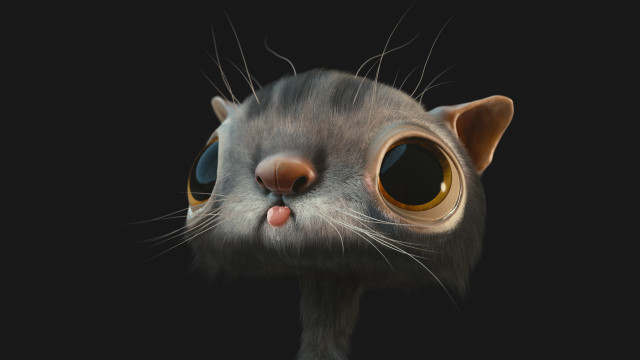 Cat bigeyes nose photorealism characterportrait free wallpaper for desktop - medium preview image