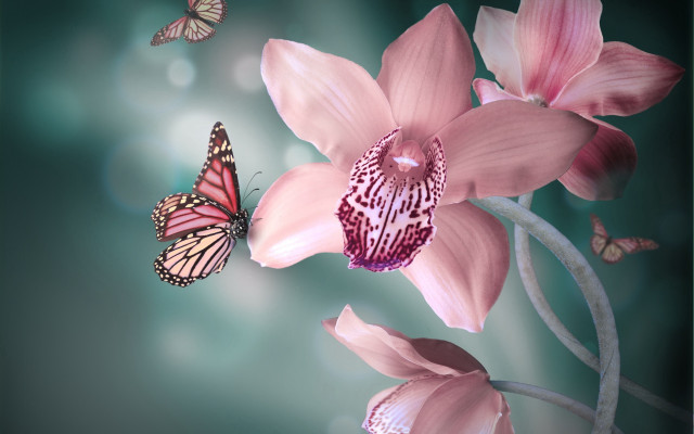 Pink flower butterfly glowing blue free wallpaper for desktop - medium preview image