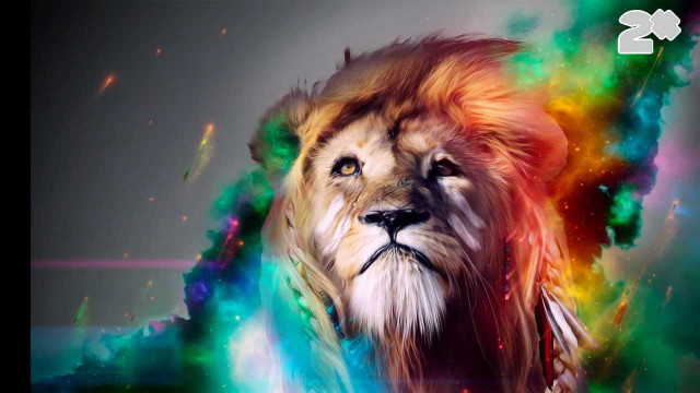 Lion colorful background caption image free wallpaper for desktop - medium preview image