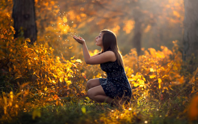 Woman kneeling forest butterfly autumn free wallpaper for desktop - medium preview image