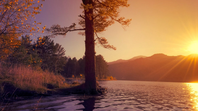 Sunset lake mountains trees autumn free wallpaper for desktop - medium preview image