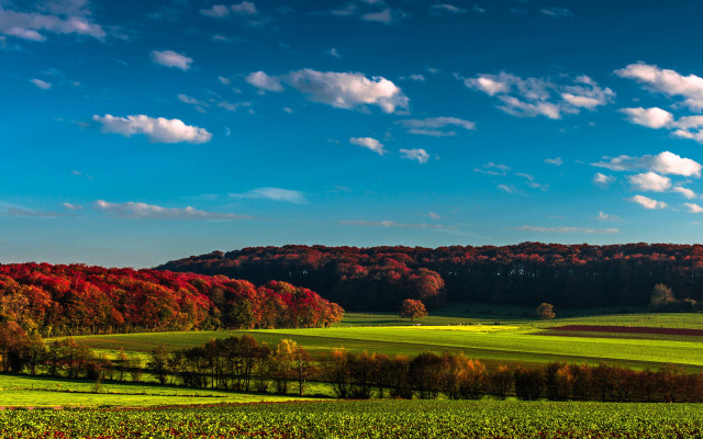 Green field trees clouds blue #8 free wallpaper for desktop - medium preview image
