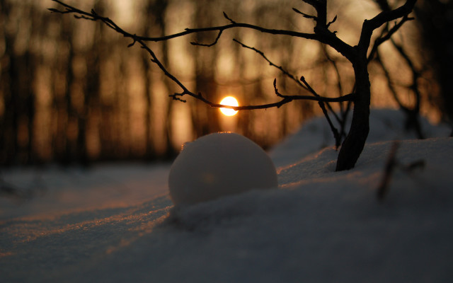 Snowball snow branch sunset nature free wallpaper for desktop - medium preview image