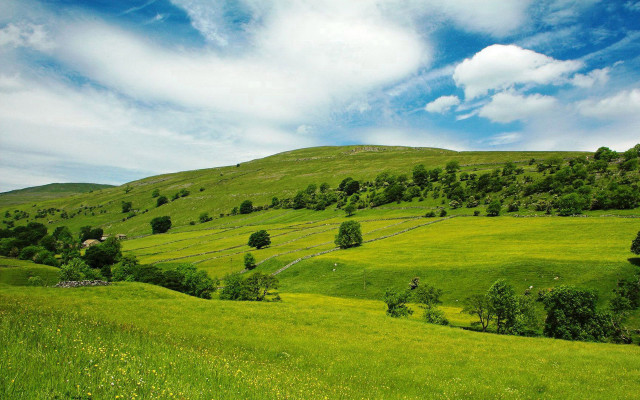 Lush green hillside trees grass free wallpaper for desktop - medium preview image