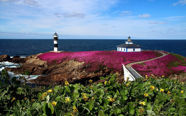 Lighthouse rocky cliff flowers path free wallpaper for desktop - medium preview image