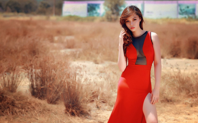 Woman red dress field bushes free wallpaper for desktop - medium preview image
