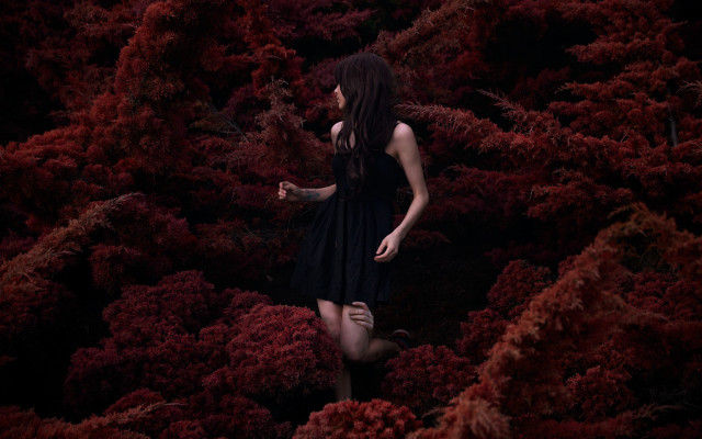 Woman black dress forest autumn free wallpaper for desktop - medium preview image