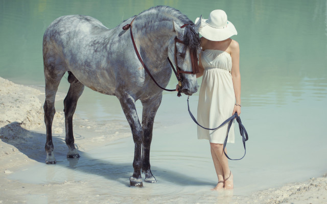Woman white dress horse beach free wallpaper for desktop - medium preview image