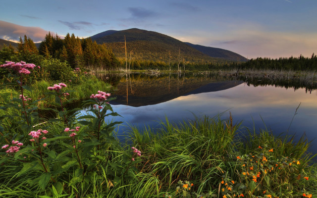 Lake forest mountain flowers sunset free wallpaper for desktop - medium preview image