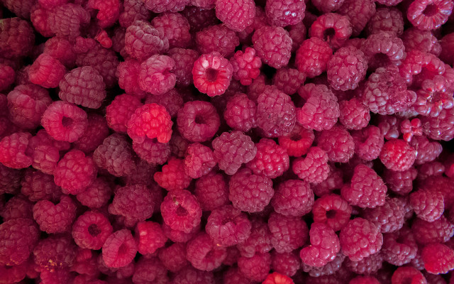 Raspberries bouquet macro art flowers free wallpaper for desktop - medium preview image