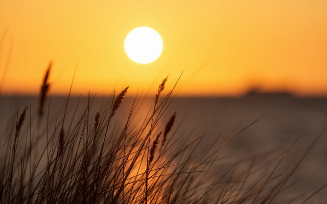 Sunset water grass building yellow free wallpaper for desktop - medium preview image