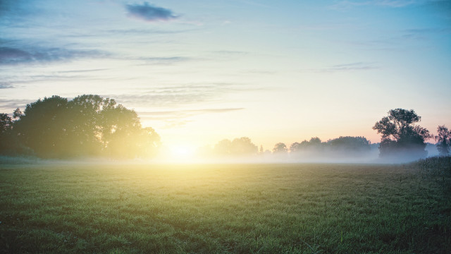 Foggy dawn trees sunset lake free wallpaper for desktop - medium preview image