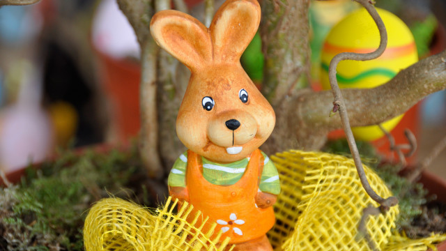 Toy rabbit basket tree yellow free wallpaper for desktop - medium preview image