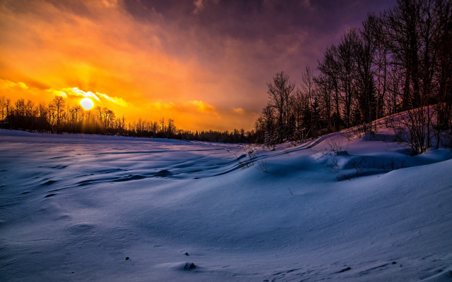 Sunset snowy field trees dark free wallpaper for desktop - medium preview image