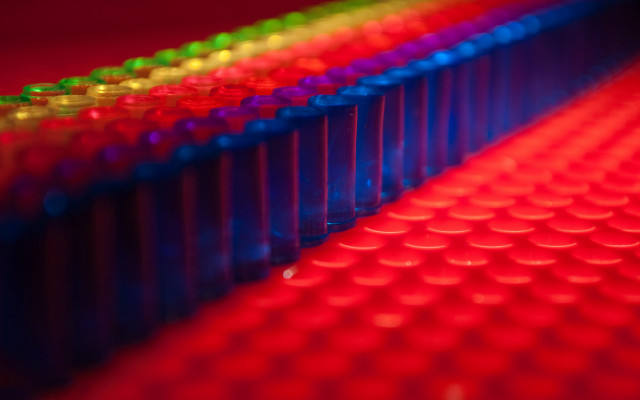 Plastic cups colored lids red free wallpaper for desktop - medium preview image