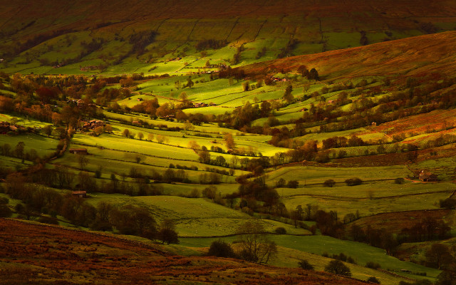 Hillside trees grass houses autumn free wallpaper for desktop - medium preview image