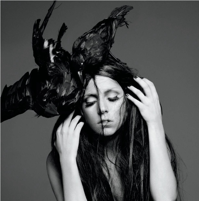 Woman bird head hands on free wallpaper for tablet - medium preview image