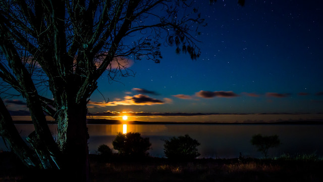 Silhouetted tree night sky lake free wallpaper for desktop - medium preview image
