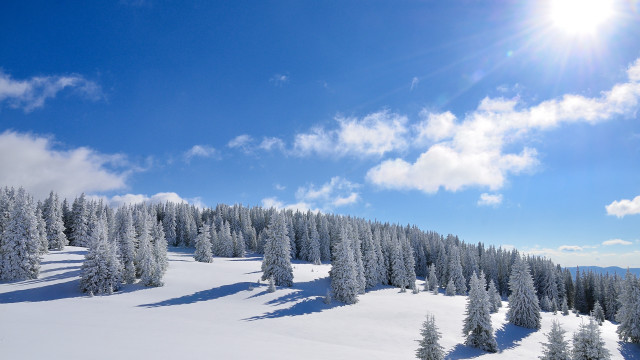 Snow mountain trees sun clouds free wallpaper for desktop - medium preview image