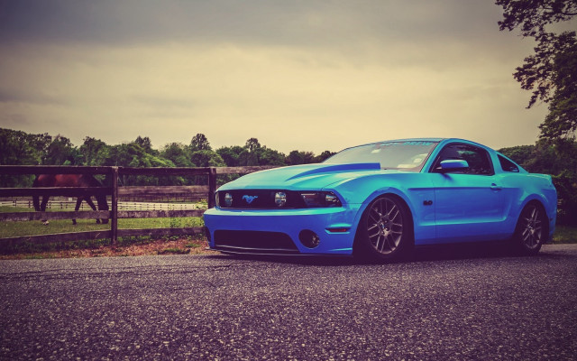 Blue mustang horse fence 3d free wallpaper for desktop - medium preview image