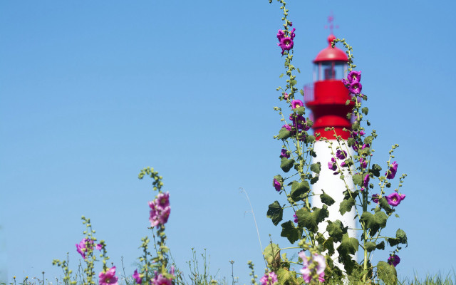 Lighthouse purpleflowers summer vibrant ecological free wallpaper for desktop - medium preview image