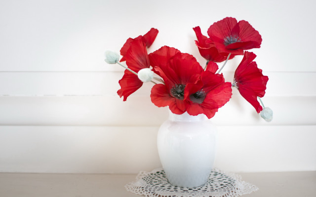 White vase red flowers doily free wallpaper for desktop - medium preview image